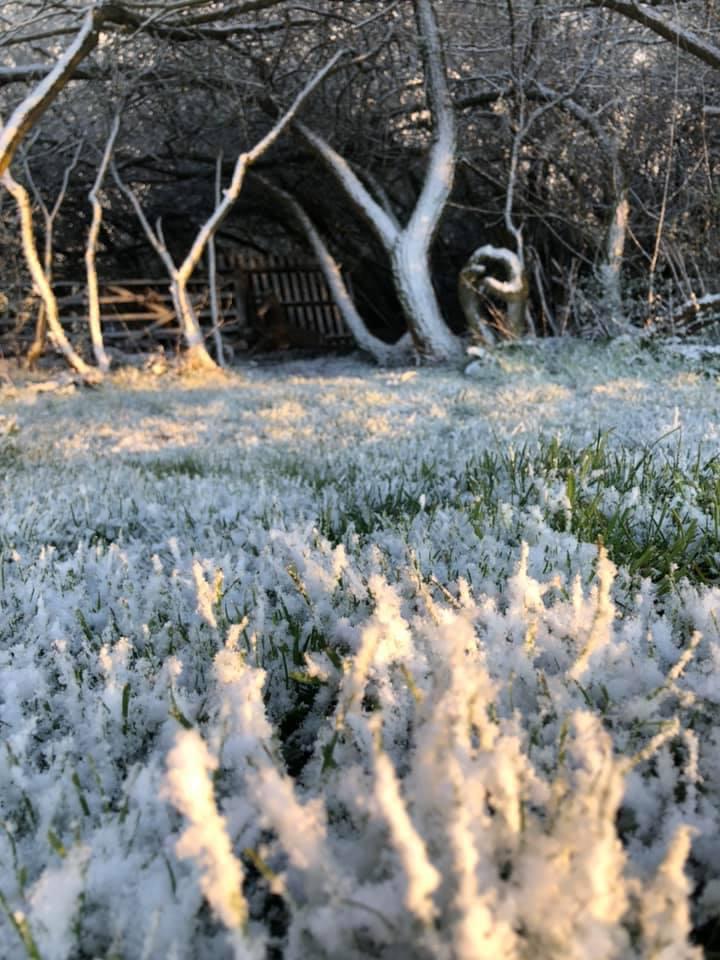 Winter Magic @Behorself